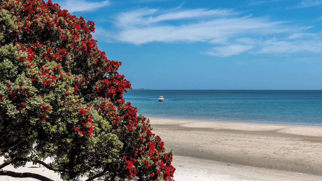 Photo of Others in Onetangi