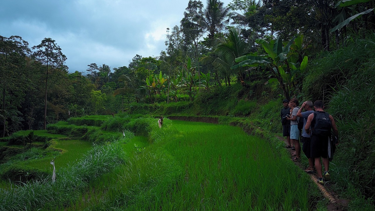 Photo of Others in Tetebatu