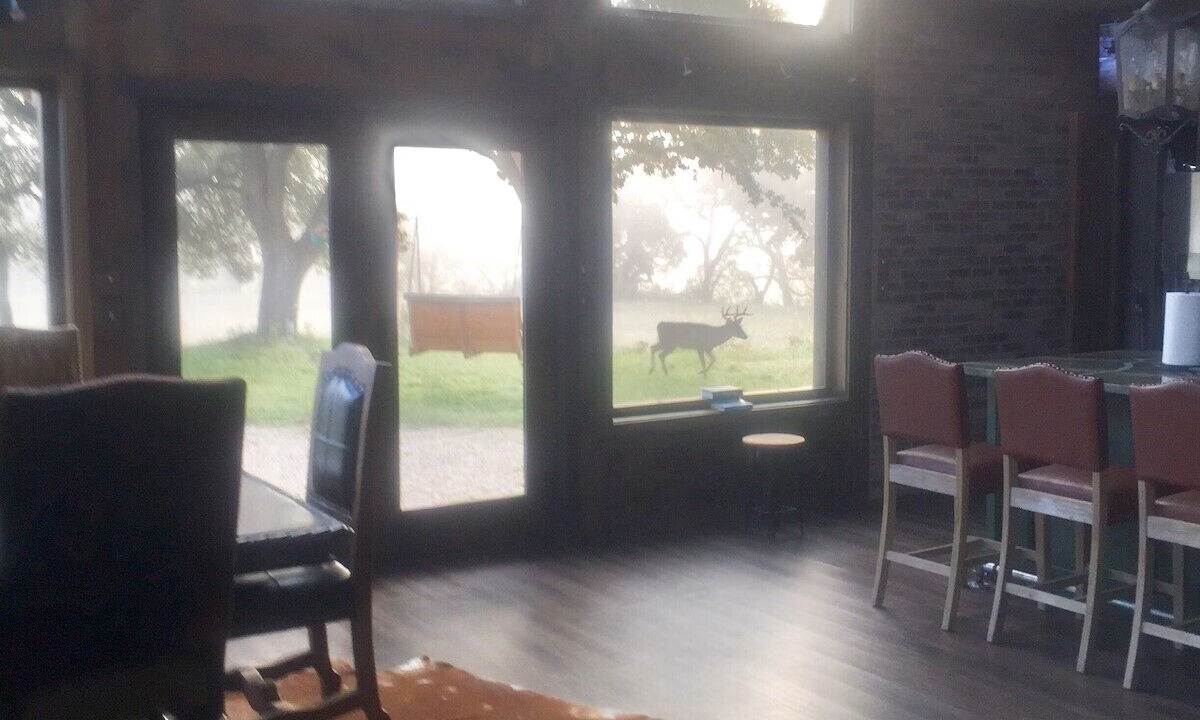 Photo of Others in Leakey