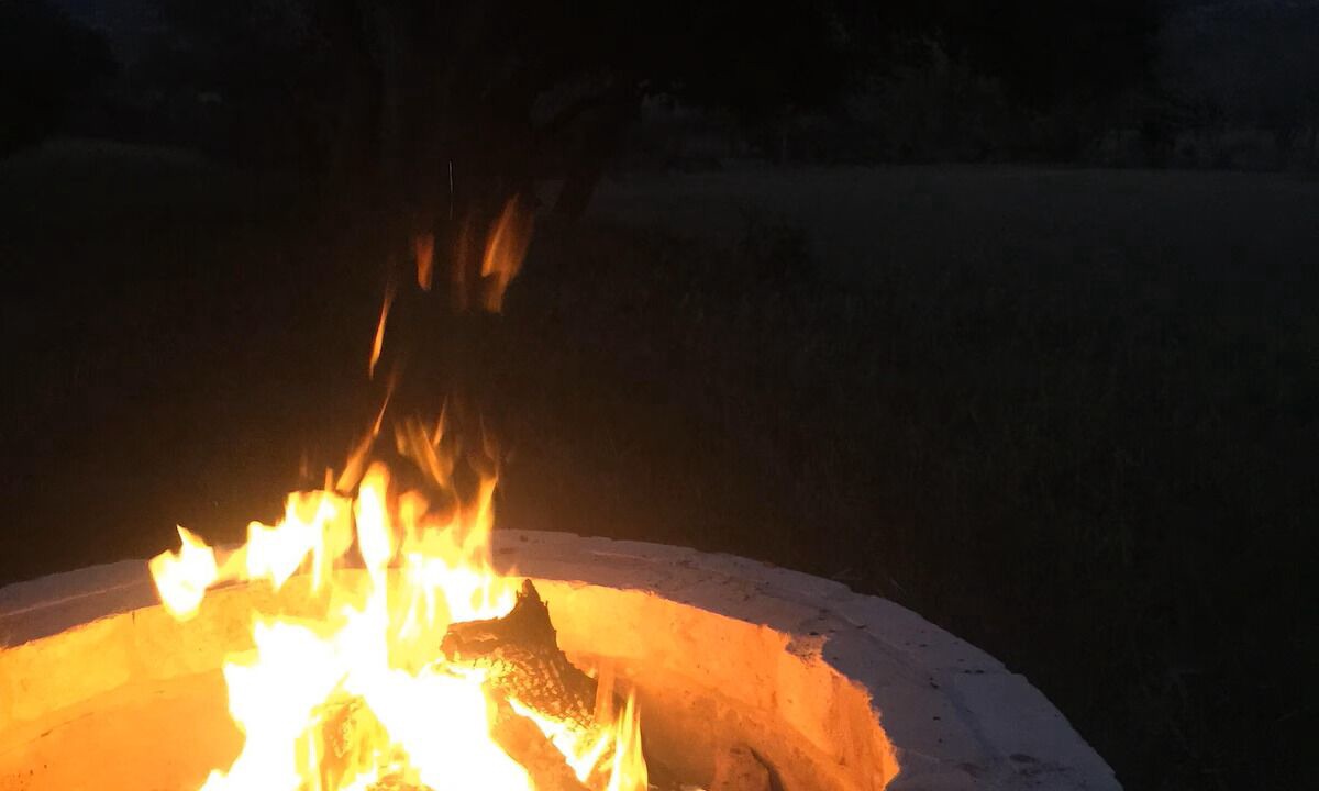 Photo of Others in Leakey