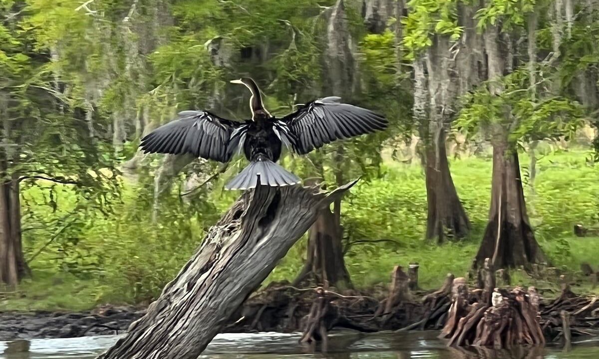 Photo of Others in Astor