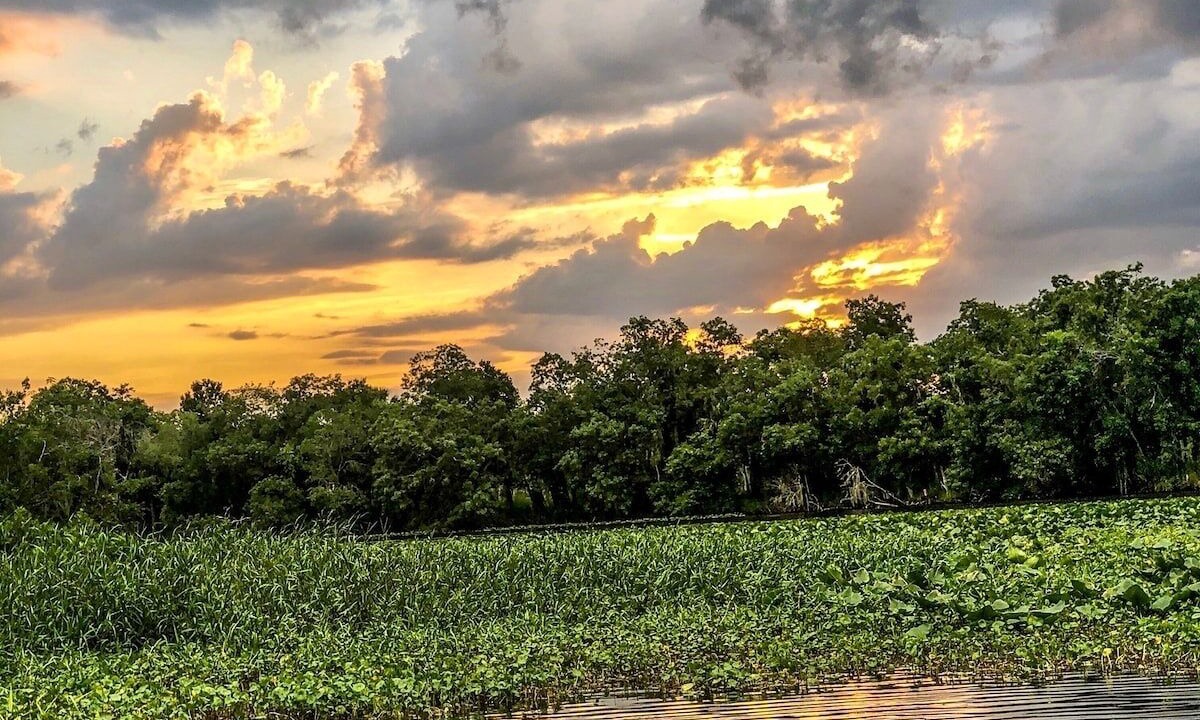 Photo of Others in Astor