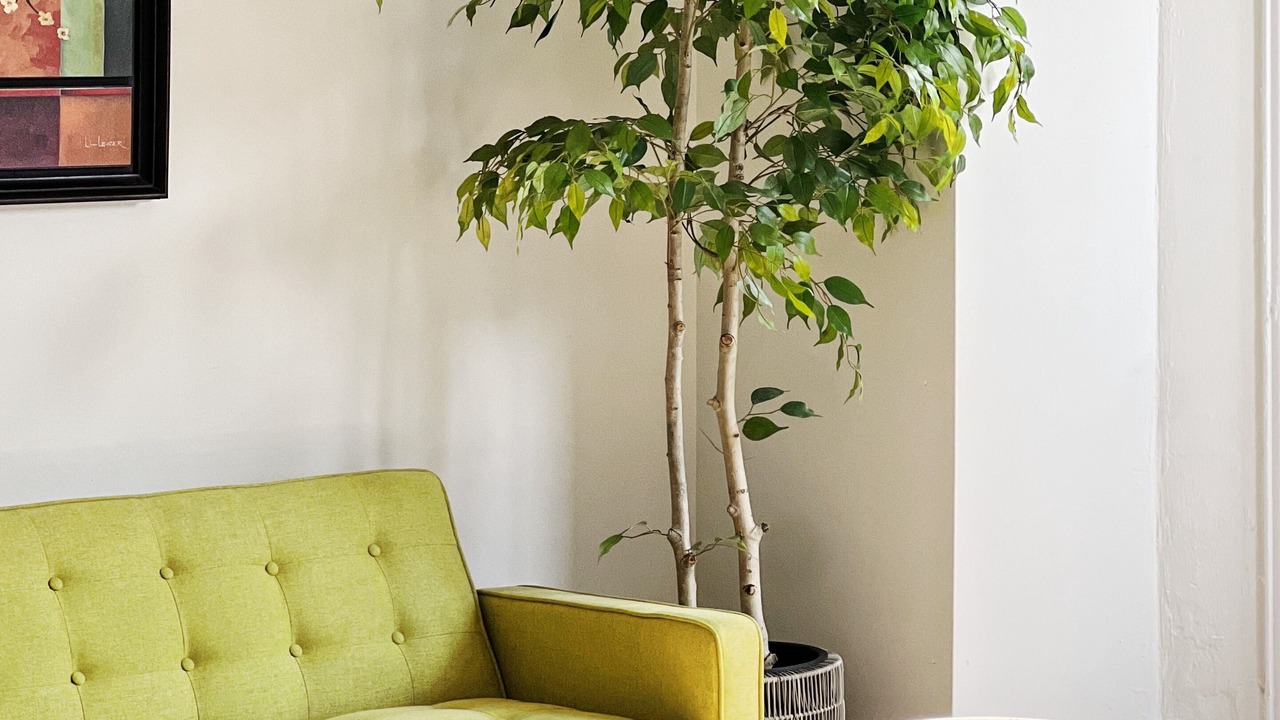 Photo of Livingroom in Powelton Village