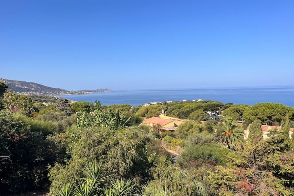 Photo of Others in Marine de Davia