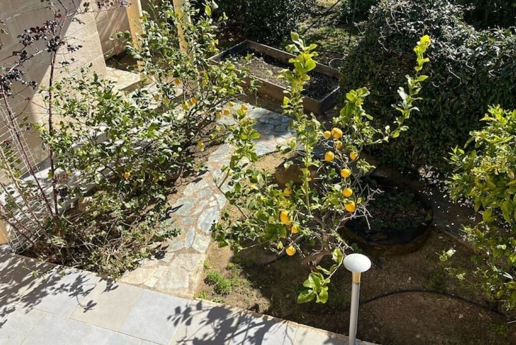 Photo of Outdoor in Marine de Davia