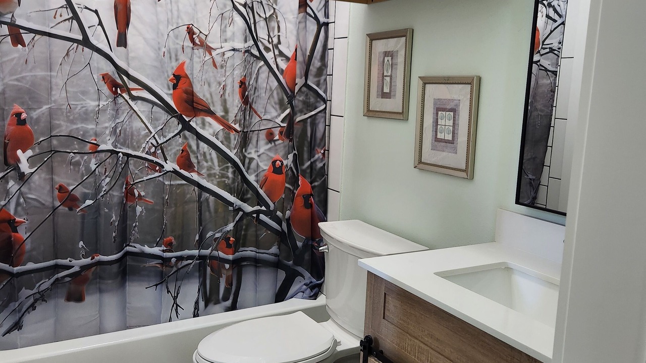 Photo of Bathroom in Graford