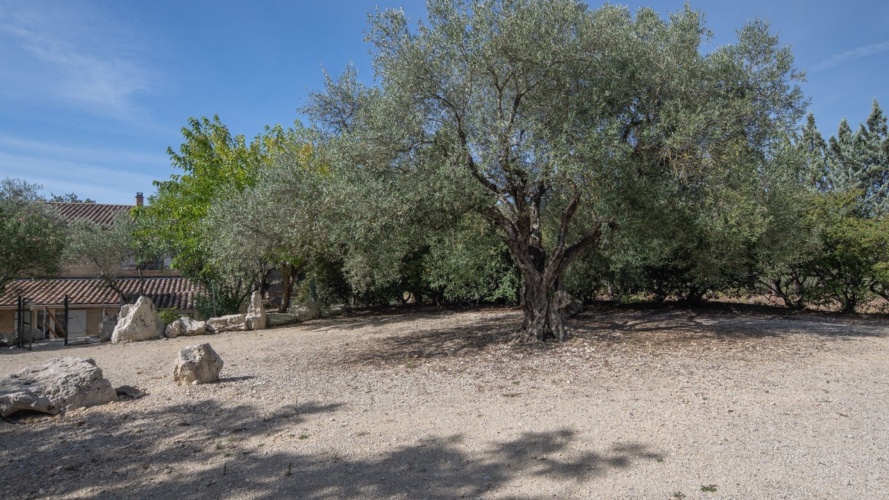 Photo of Others in Saint-Sauveur-de-Cruzieres