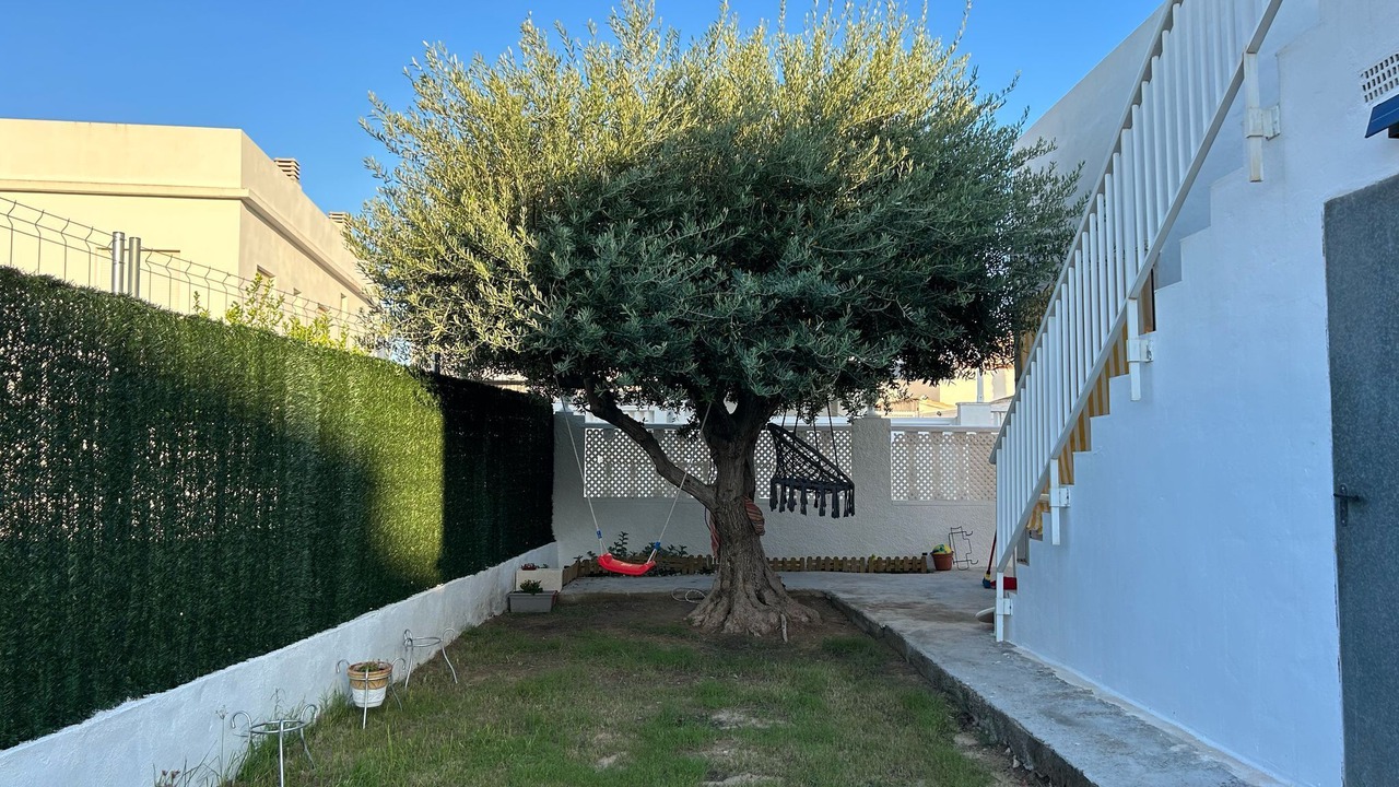 Photo of Outdoor in Oliva