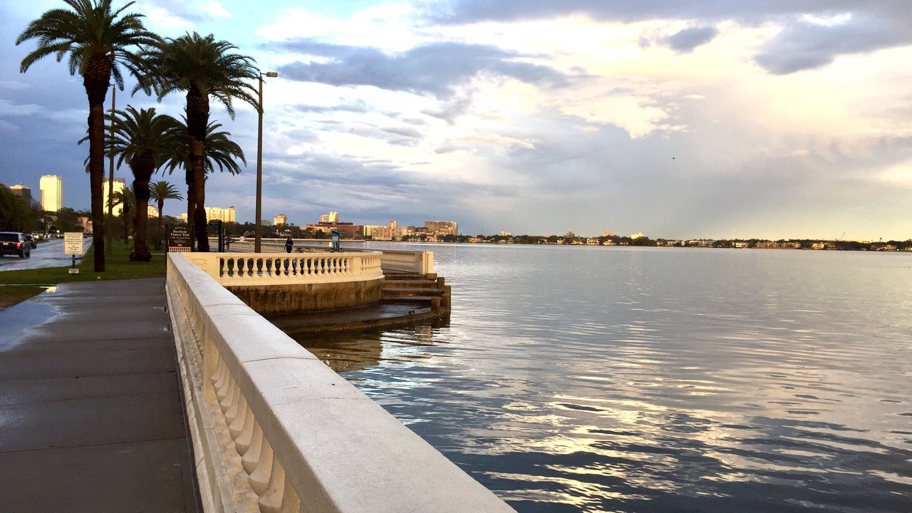 Photo of Others in Port Tampa City