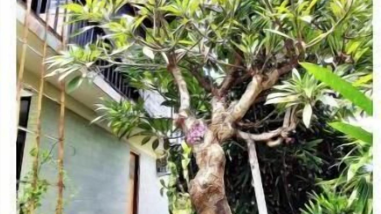 Photo of Outdoor in Kalisada