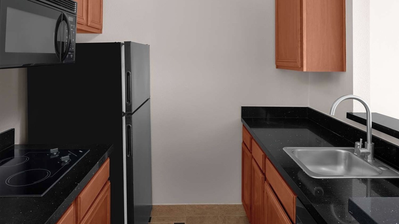 Photo of Others in Snail