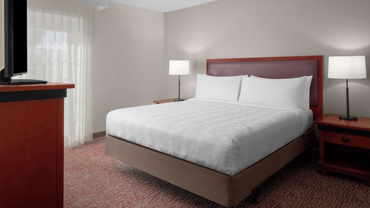 Photo of Others in Snail