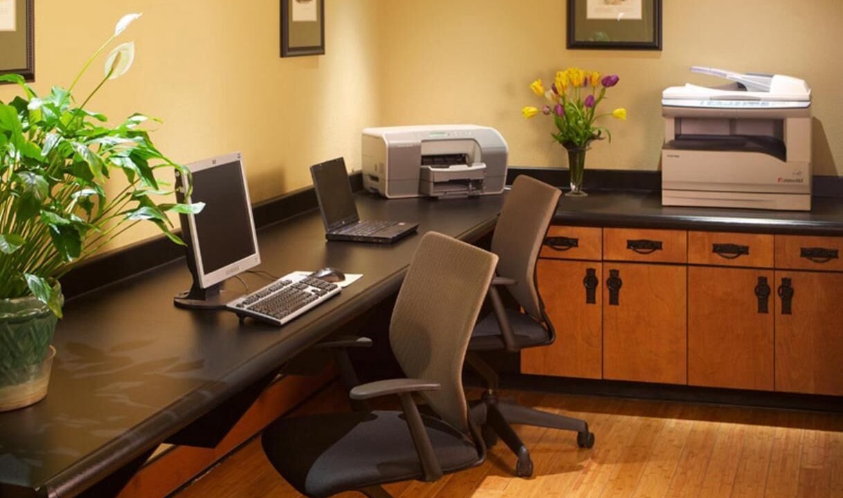 Photo of Others in Snail