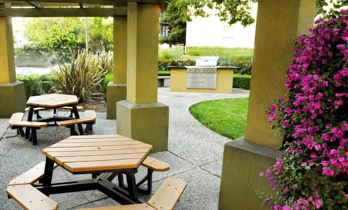 Photo of Outdoor in Snail