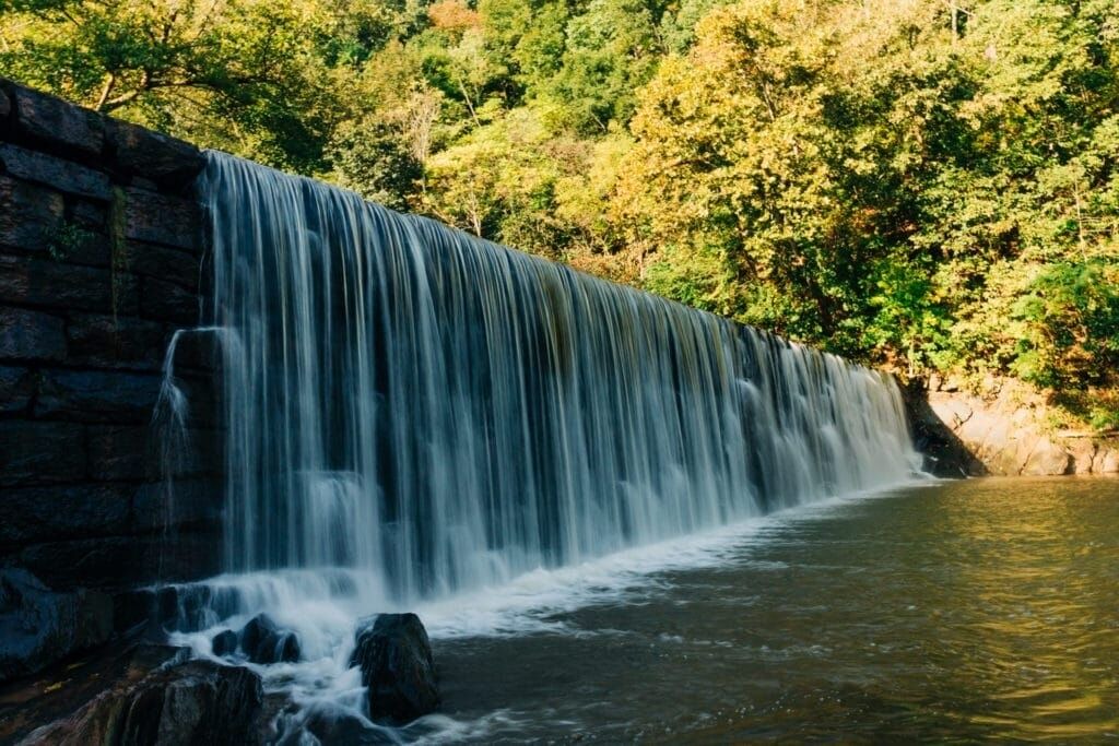 Photo of Others in Lynchburg