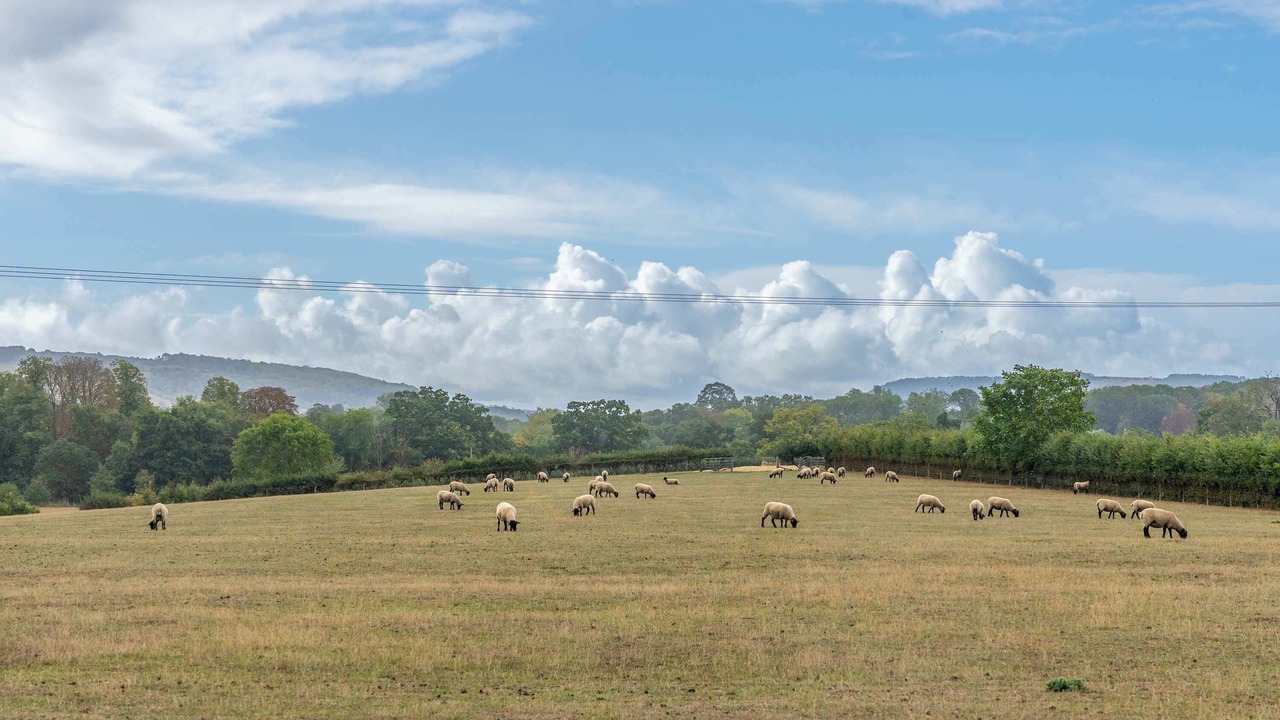 Photo of Others in Mangotsfield