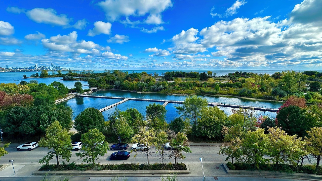 Photo of Others in Humber Bay Shores