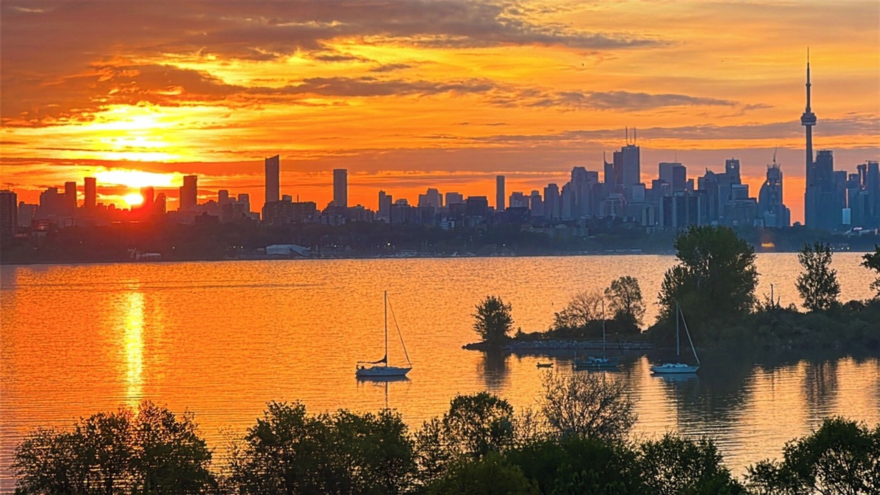 Photo of Others in Humber Bay Shores