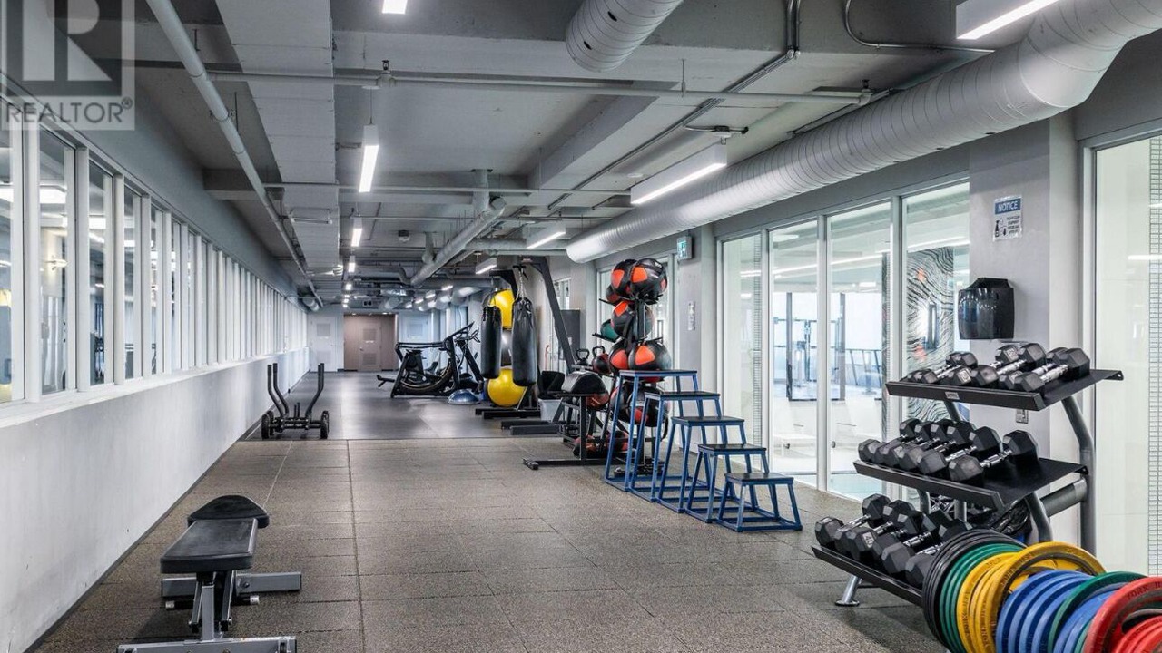 Photo of Others in Humber Bay Shores