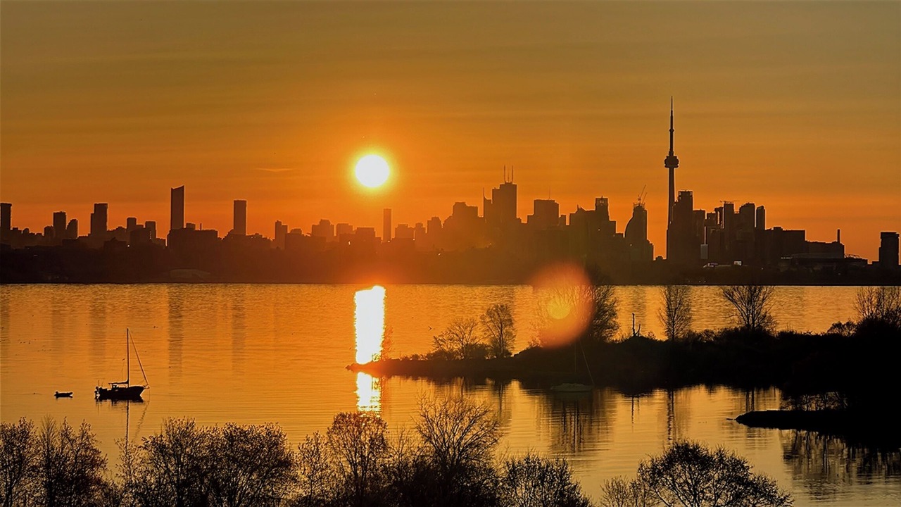 Photo of Others in Humber Bay Shores