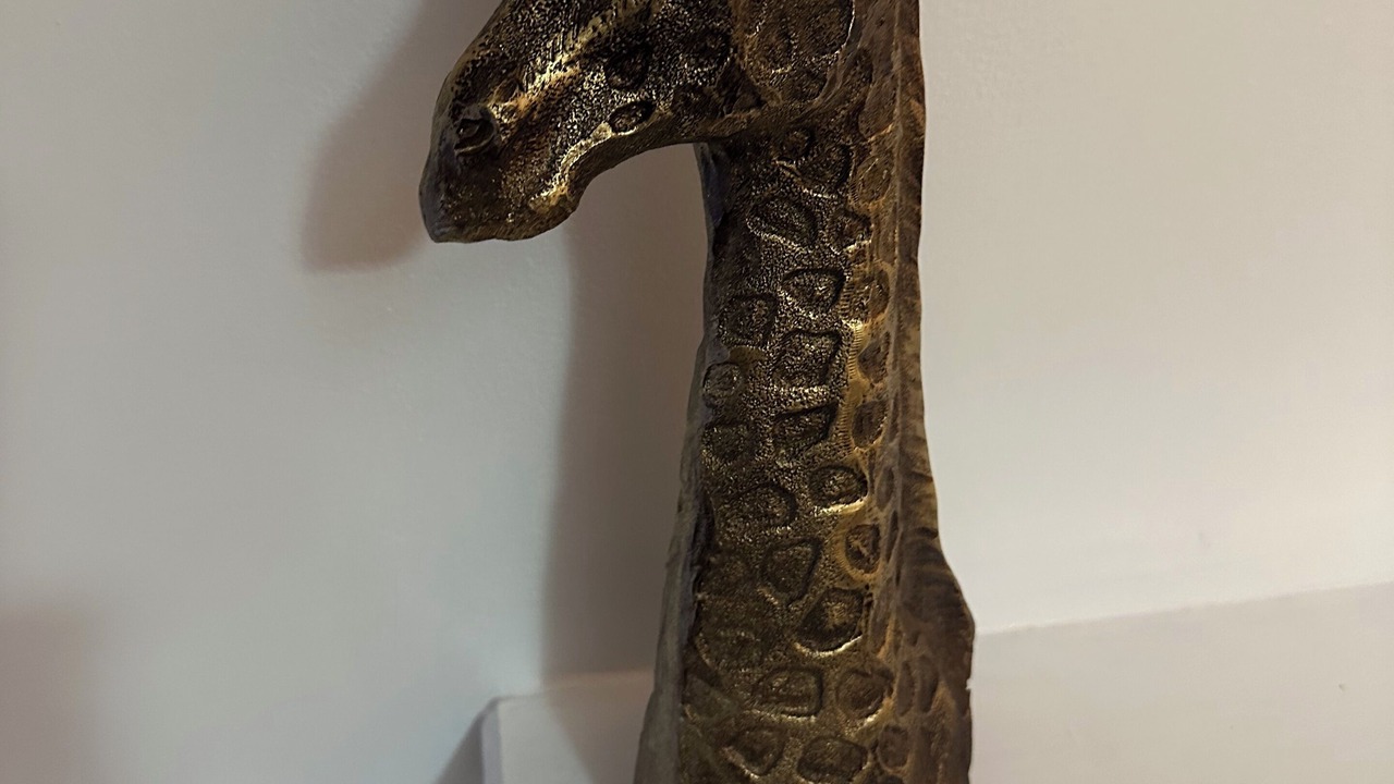 Photo of Others in Blyth