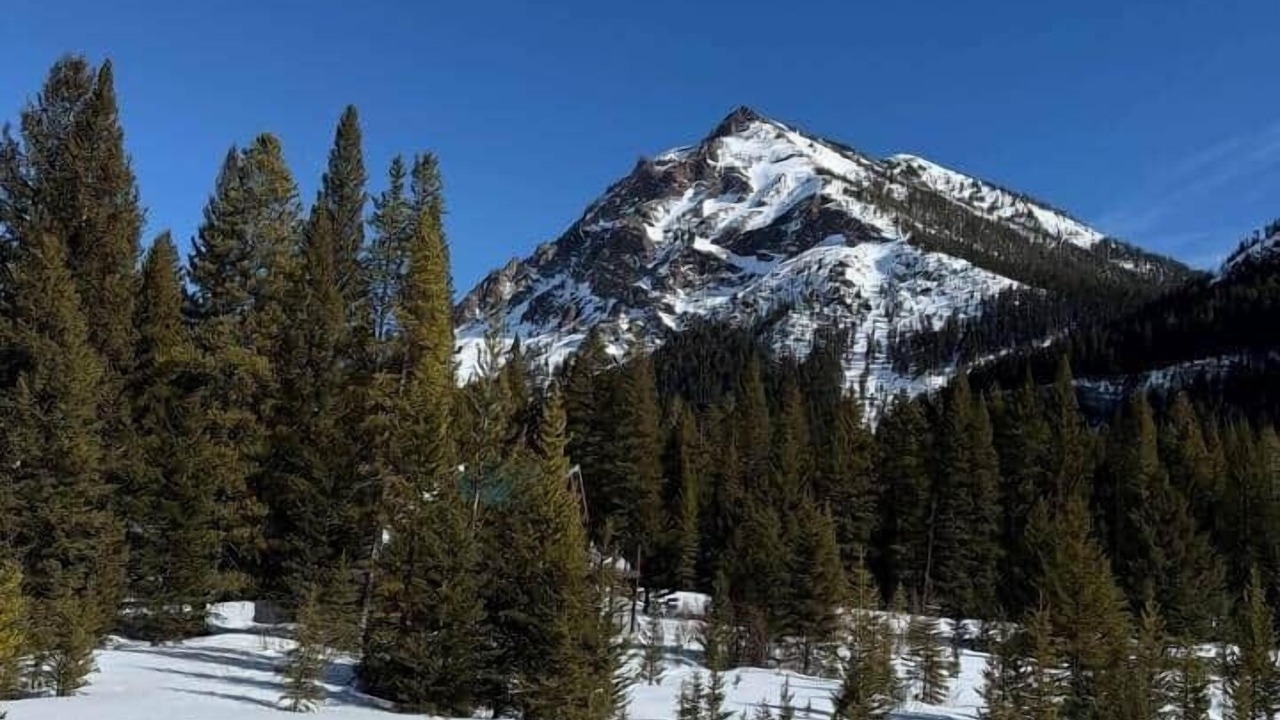 Photo of Others in Cooke City-Silver Gate