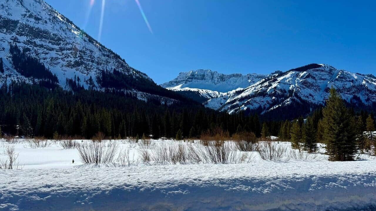 Photo of Others in Cooke City-Silver Gate