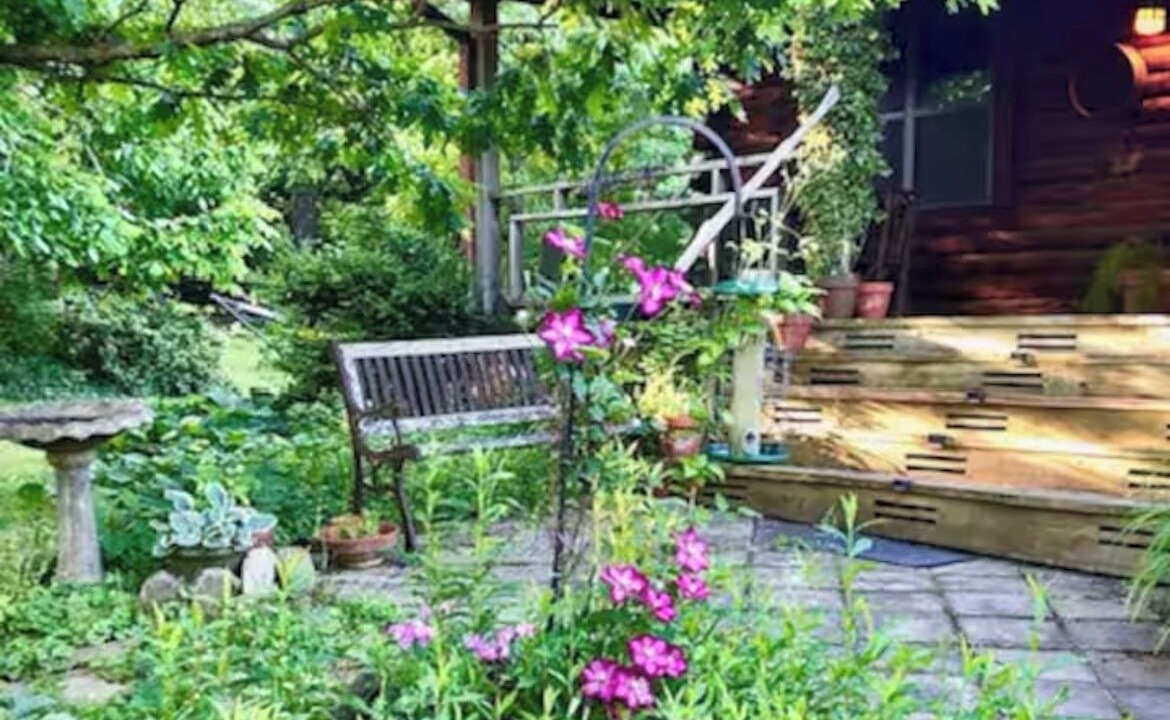 Photo of Outdoor in Lookout Mountain