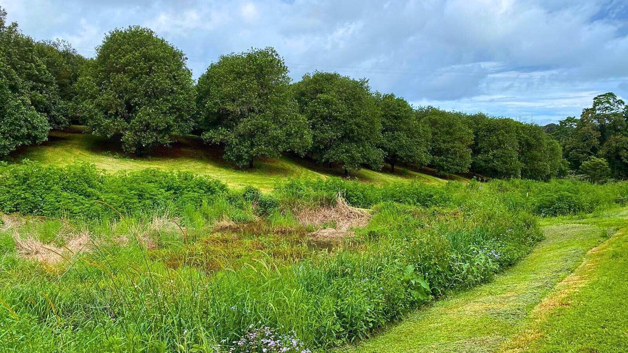 Photo of Others in Numulgi