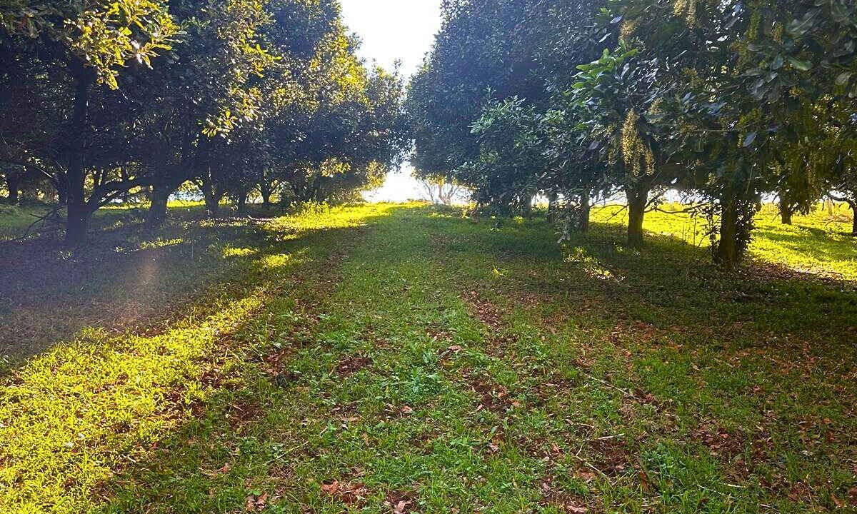 Photo of Others in Numulgi