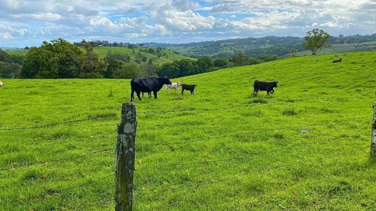 Photo of Others in Numulgi