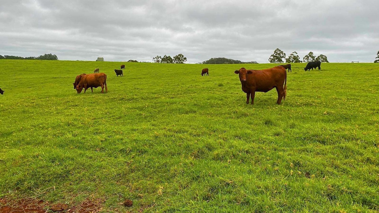 Photo of Others in Numulgi