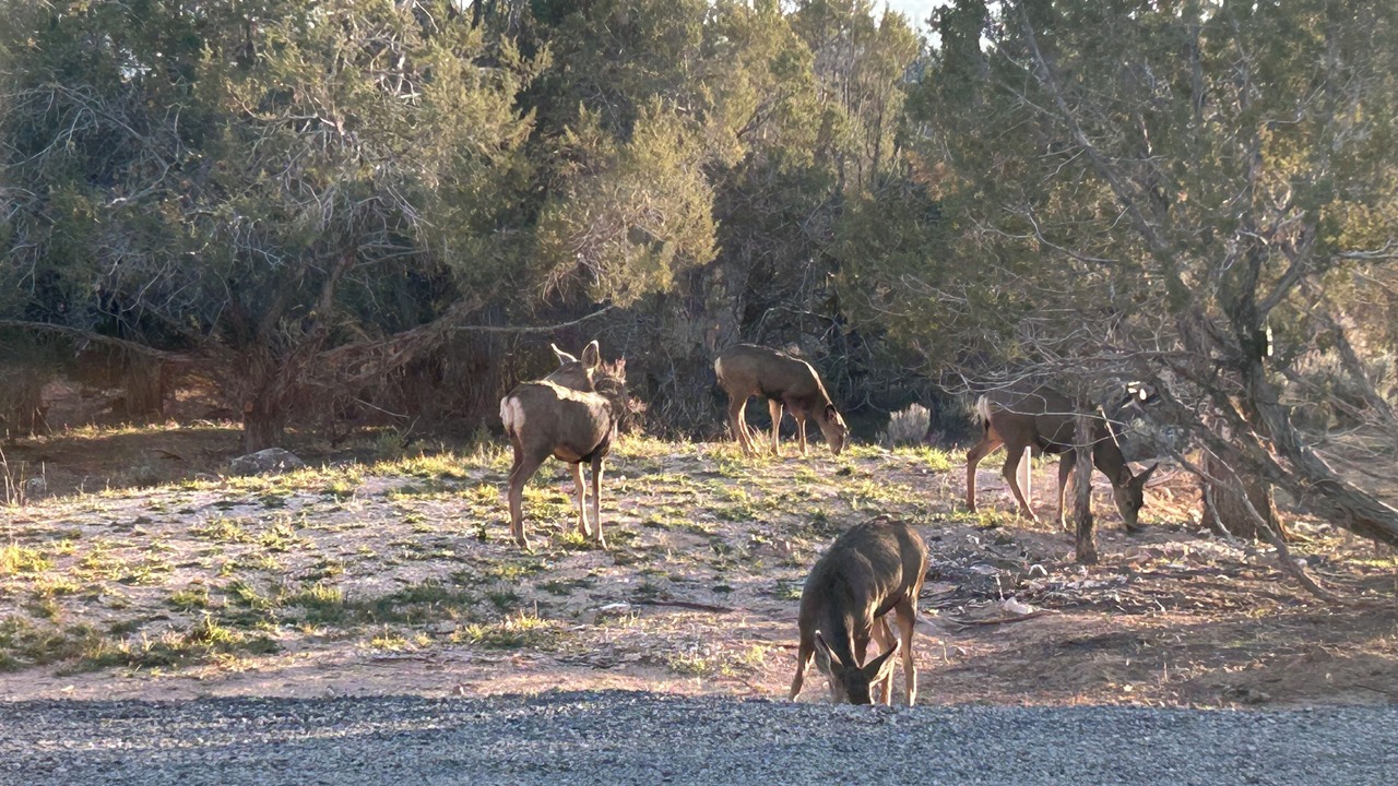 Photo of Others in Cedaredge