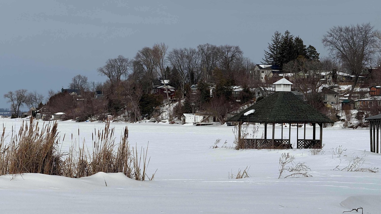 Photo of Outdoor in Harwood
