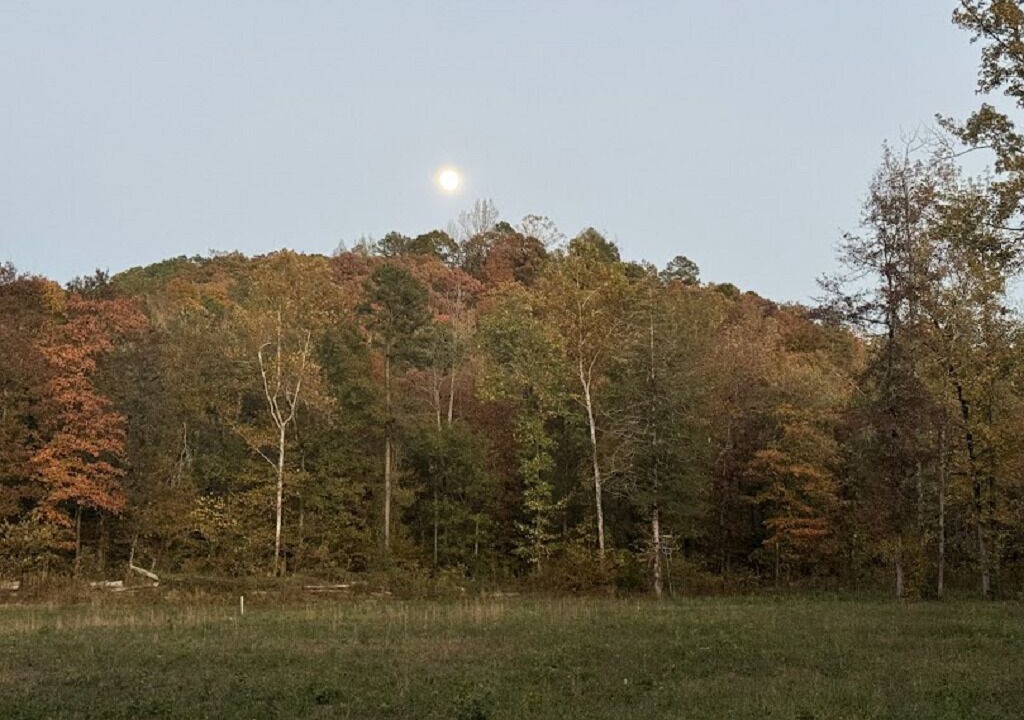Photo of Outdoor in Pelsor