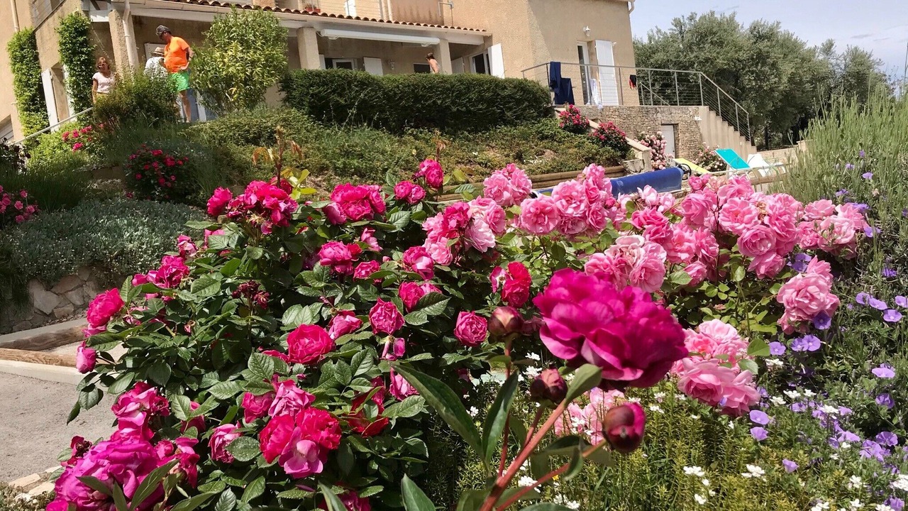Photo of Outdoor in Volx