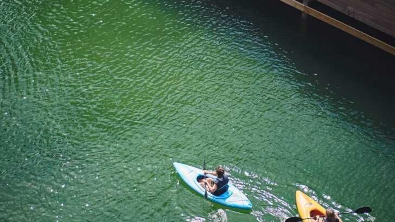 Photo of Others in Copenhagen SV