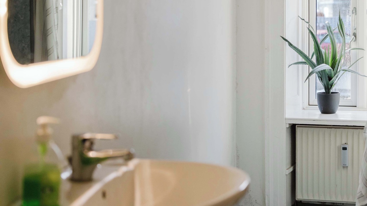 Photo of Others in Amager