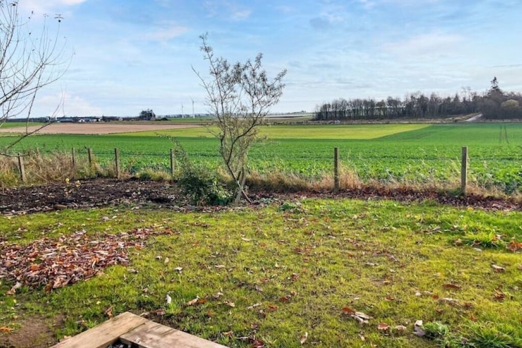 Photo of Others in Forfar