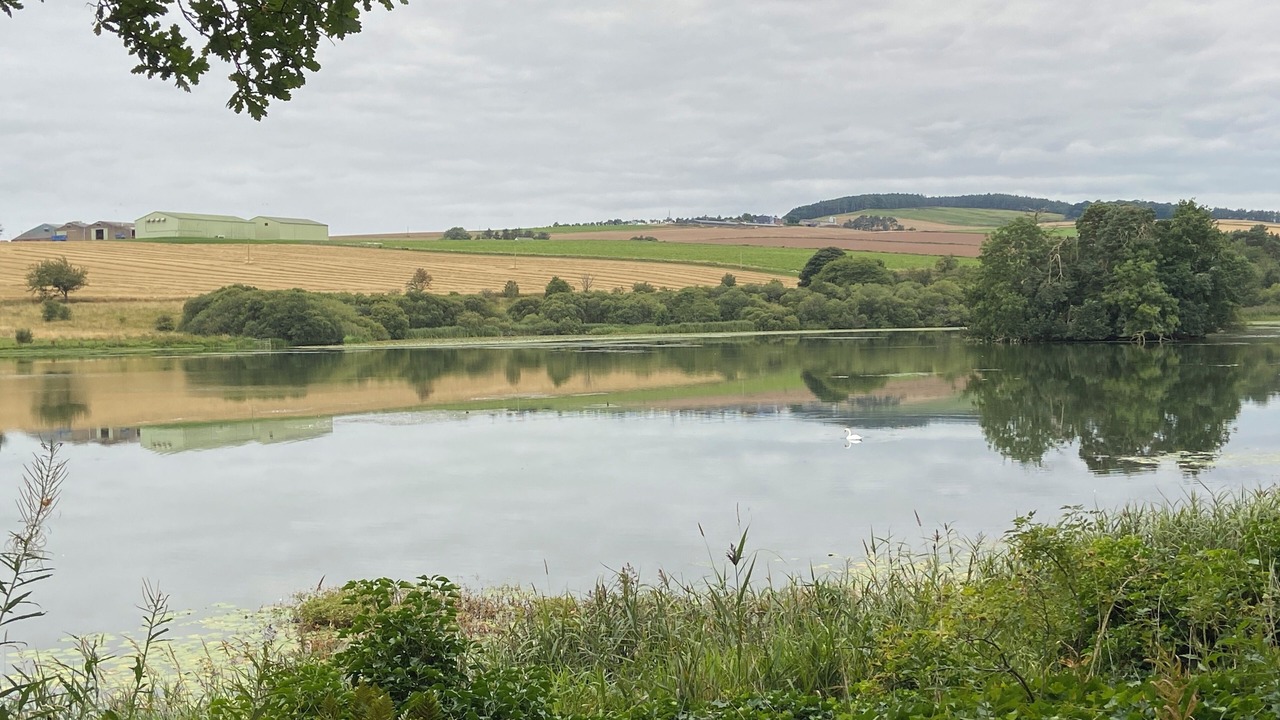 Photo of Others in Forfar