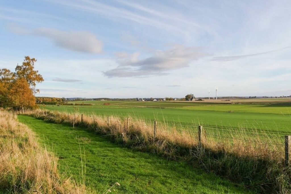 Photo of Others in Forfar