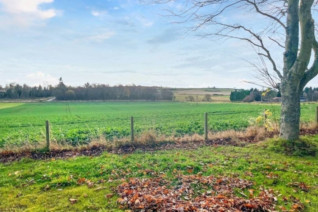 Photo of Others in Forfar