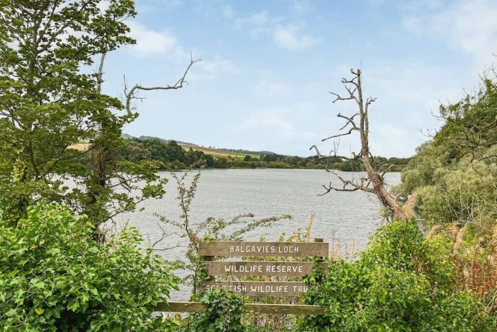 Photo of Others in Forfar