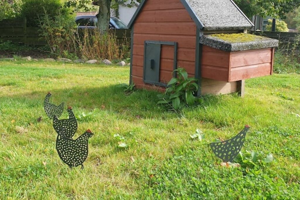 Photo of Outdoor in Forfar