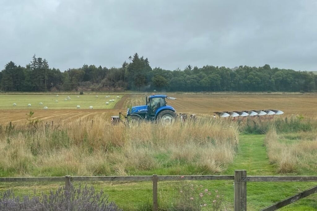 Photo of Others in Forfar