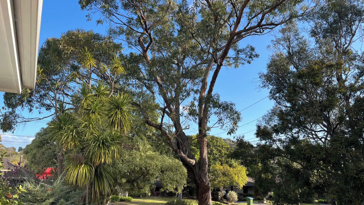 Photo of Outdoor in Ringwood North