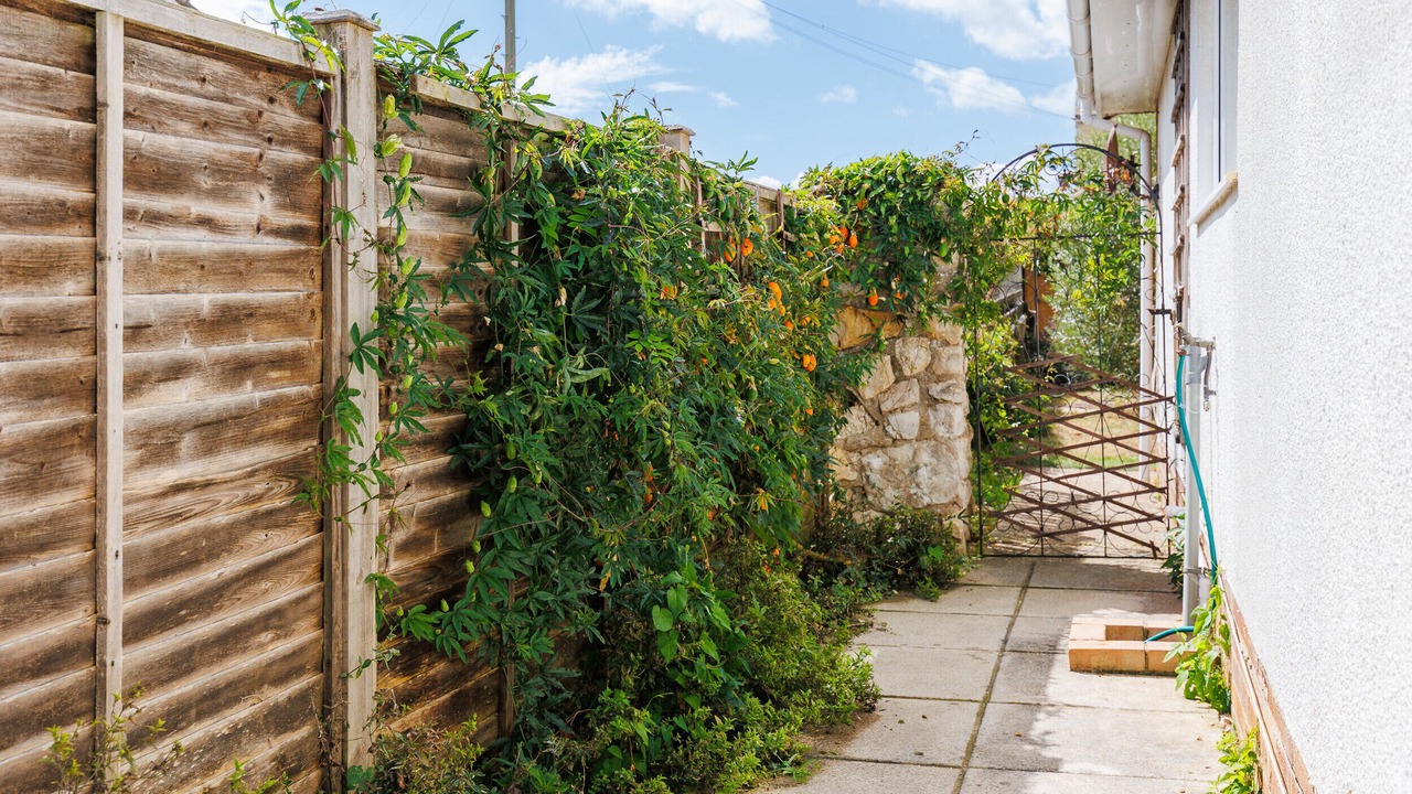 Photo of Outdoor in Bembridge