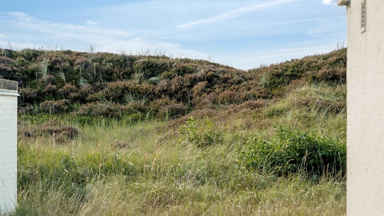 Photo of Others in Rødhus