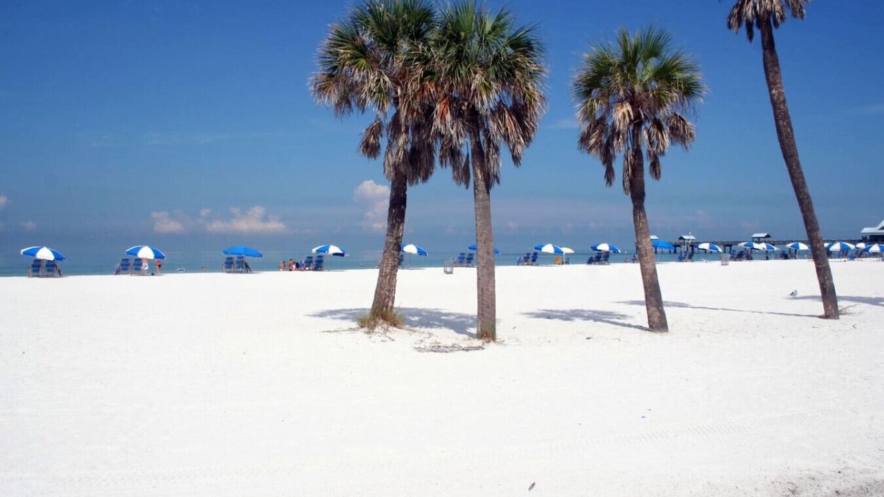 Photo of Others in Largo
