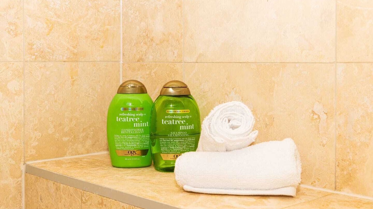 Photo of Bathroom in Toronto Entertainment District